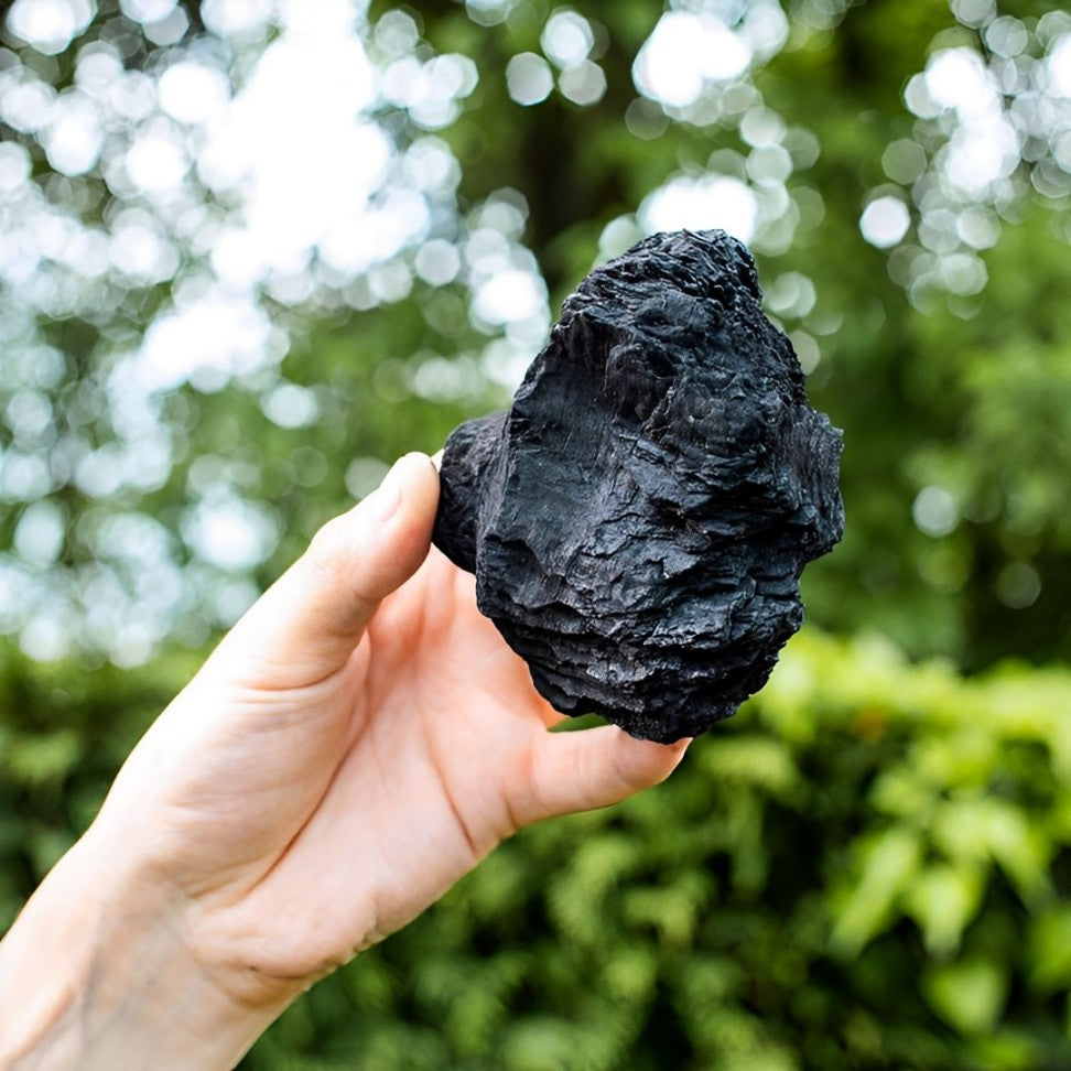 2X Lumpwood Charcoal for Traditional BBQs - 8 kg Bag, Fast Lighting High Heat